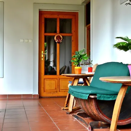 Violetta Vendeghaz Guest house *