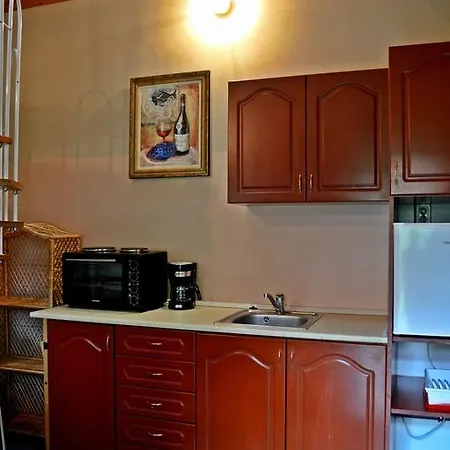 Guest house Violetta Vendeghaz