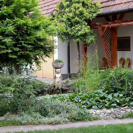 Konukevi Violetta Vendeghaz *