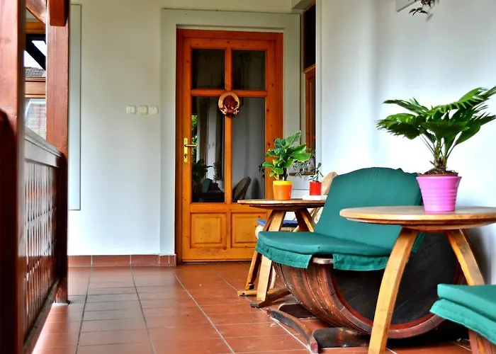 Violetta Vendeghaz Pensionat *