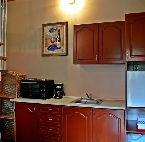 Pensionat Violetta Vendeghaz