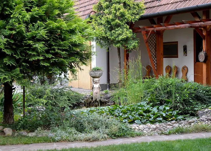 Pensionat Violetta Vendeghaz *