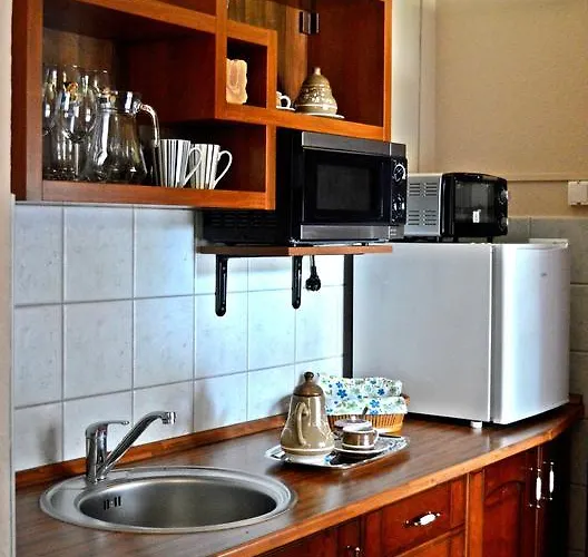 Pensionat Violetta Vendeghaz *