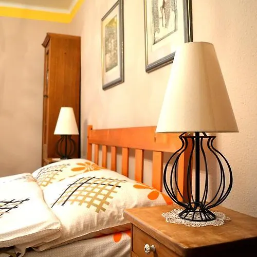 Violetta Vendeghaz *